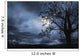 Beautiful Landscape with fullmoon Wall Decal