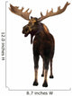 Moose Wall Decal