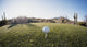 Tee off golf ball - wide angle view Fisheye lens effect. Wall Decal