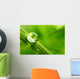 leaf with rain droplets - Stock Image Wall Decal
