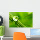 leaf with rain droplets - Stock Image Wall Decal