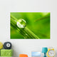 leaf with rain droplets - Stock Image Wall Decal