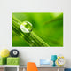 leaf with rain droplets - Stock Image Wall Decal