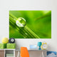 leaf with rain droplets - Stock Image Wall Decal