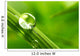 leaf with rain droplets - Stock Image Wall Decal
