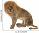 Male Lion Wall Decal