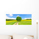 Feldweg im Fr&uuml;hling - Bodenseeregion Wall Decal