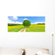 Feldweg im Fr&uuml;hling - Bodenseeregion Wall Decal