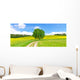 Feldweg im Fr&uuml;hling - Bodenseeregion Wall Decal