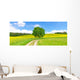 Feldweg im Fr&uuml;hling - Bodenseeregion Wall Decal