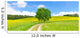 Feldweg im Fr&uuml;hling - Bodenseeregion Wall Decal