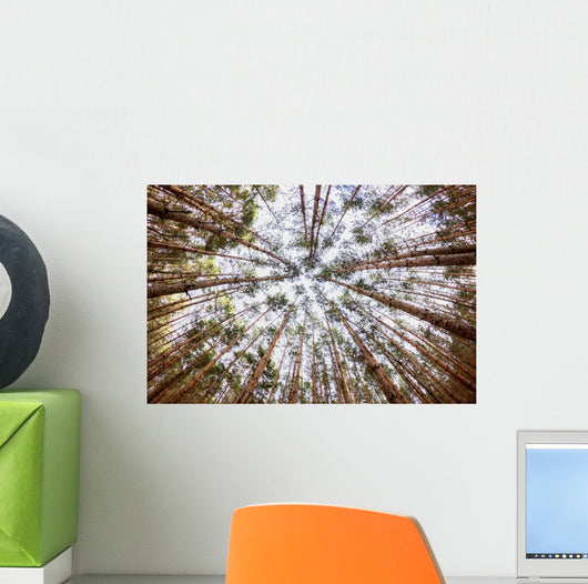 Wald Wall Decal