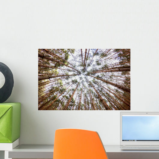 Wald Wall Decal