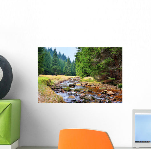 Mittellauf der Rolava (Rolau) im Erzgebirge bei Nove Hamry  Wall Decal