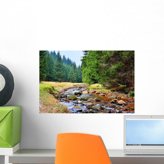 Mittellauf der Rolava (Rolau) im Erzgebirge bei Nove Hamry  Wall Decal