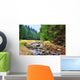 Mittellauf der Rolava (Rolau) im Erzgebirge bei Nove Hamry  Wall Decal