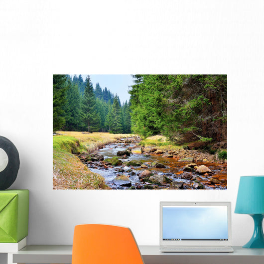 Mittellauf der Rolava (Rolau) im Erzgebirge bei Nove Hamry  Wall Decal