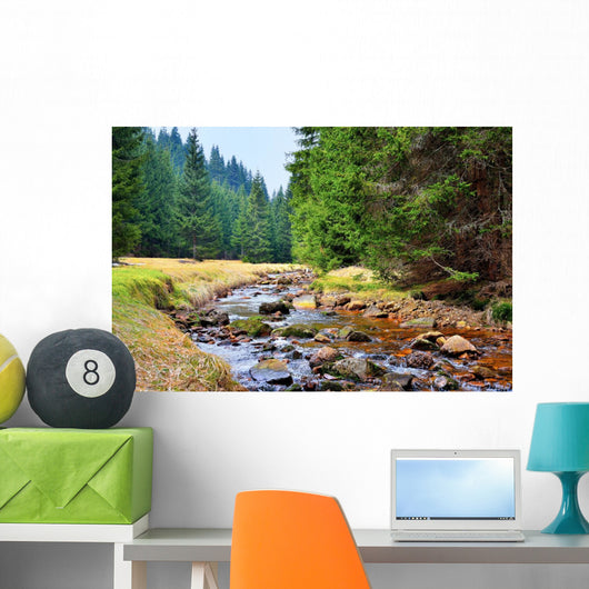 Mittellauf der Rolava (Rolau) im Erzgebirge bei Nove Hamry  Wall Decal