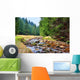 Mittellauf der Rolava (Rolau) im Erzgebirge bei Nove Hamry  Wall Decal