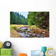 Mittellauf der Rolava (Rolau) im Erzgebirge bei Nove Hamry  Wall Decal