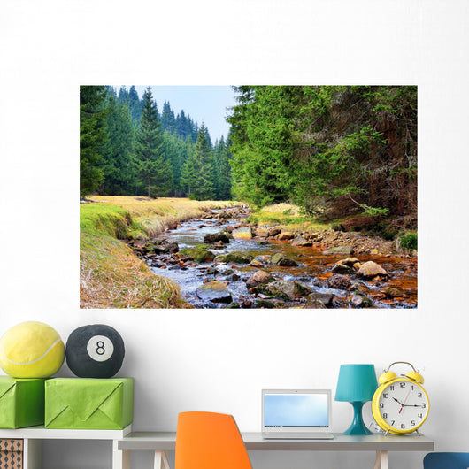 Mittellauf der Rolava (Rolau) im Erzgebirge bei Nove Hamry  Wall Decal