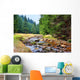 Mittellauf der Rolava (Rolau) im Erzgebirge bei Nove Hamry  Wall Decal