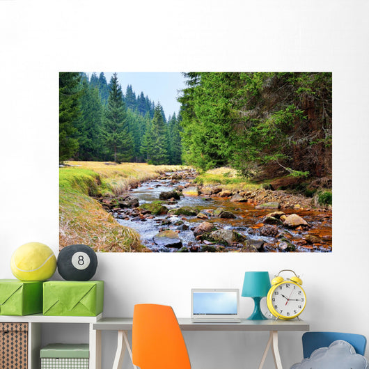 Mittellauf der Rolava (Rolau) im Erzgebirge bei Nove Hamry  Wall Decal