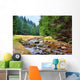 Mittellauf der Rolava (Rolau) im Erzgebirge bei Nove Hamry  Wall Decal