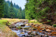 Mittellauf der Rolava (Rolau) im Erzgebirge bei Nove Hamry  Wall Decal