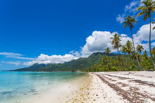 Plage polyn&eacute;sienne Wall Decal