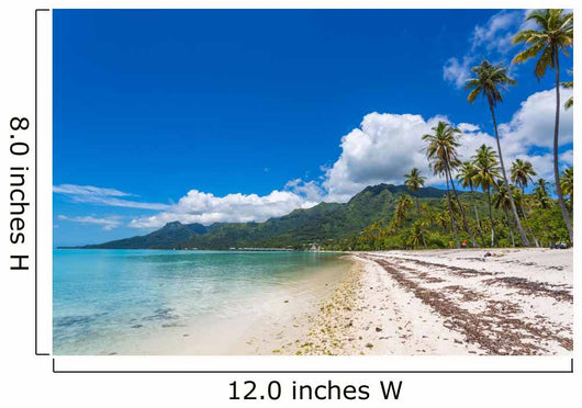 Plage polyn&eacute;sienne Wall Decal