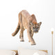 prowling puma Wall Decal