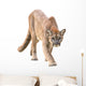 prowling puma Wall Decal