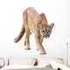 prowling puma Wall Decal