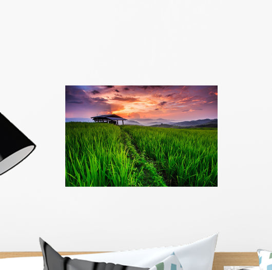 Paddy in the sunset, Chiangmai province of Thailand Wall Decal