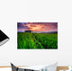 Paddy in the sunset, Chiangmai province of Thailand Wall Decal