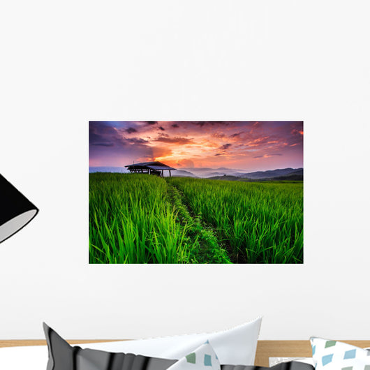 Paddy in the sunset, Chiangmai province of Thailand Wall Decal