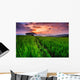 Paddy in the sunset, Chiangmai province of Thailand Wall Decal