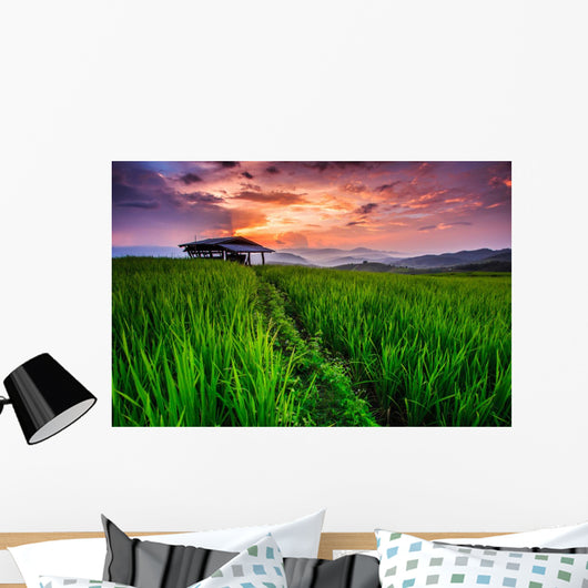 Paddy in the sunset, Chiangmai province of Thailand Wall Decal