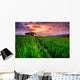 Paddy in the sunset, Chiangmai province of Thailand Wall Decal