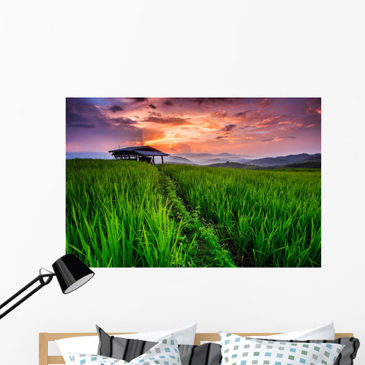 Paddy in the sunset, Chiangmai province of Thailand Wall Decal