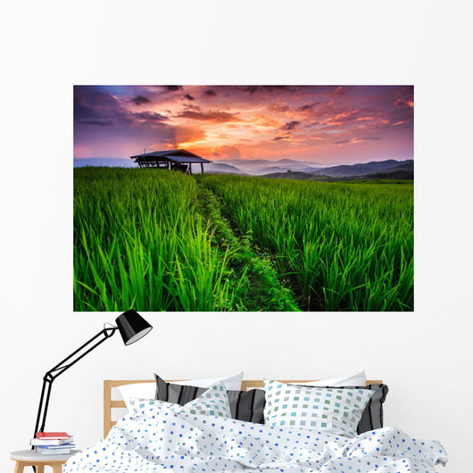 Paddy in the sunset, Chiangmai province of Thailand Wall Decal