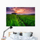 Paddy in the sunset, Chiangmai province of Thailand Wall Decal