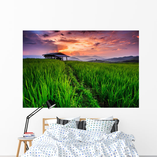 Paddy in the sunset, Chiangmai province of Thailand Wall Decal