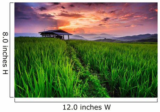 Paddy in the sunset, Chiangmai province of Thailand Wall Decal
