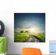 Rural road in field with green grass Wall Decal