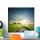 Rural road in field with green grass Wall Decal