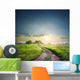 Rural road in field with green grass Wall Decal