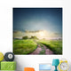 Rural road in field with green grass Wall Decal