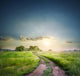 Rural road in field with green grass Wall Decal